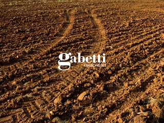 Terreno agricolo in Vendita a Casalserugo, 42'000€, 8353 m²