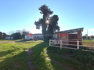 Casale in Vendita a Aprilia, 24000 m²