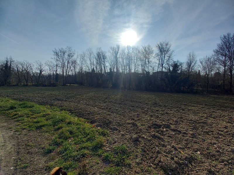Terreno agricolo in Vendita a Polpenazze del Garda, zona  situato a 2 chilometri dal centro, 39'000€, 3800 m²