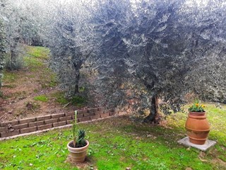 Villa bifamiliare in Vendita a San Miniato, zona Ponte a Egola, 310'000€, 200 m², con Box