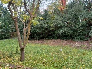 Casa Indipendente in Vendita a Sassofeltrio, 110'000&euro;, 350 m², con Box