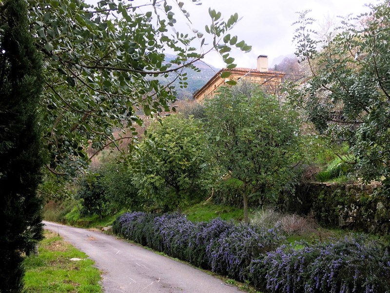 Casa Indipendente in Vendita a Serramezzana, 340'000€, 170 m²