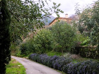 Casa Indipendente in Vendita a Serramezzana, 340'000€, 170 m²