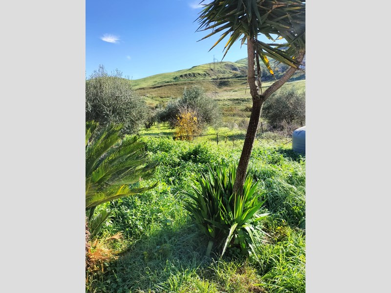 Casa Indipendente in Vendita a Agrigento, zona Montaperto, 75'000€, 100 m²