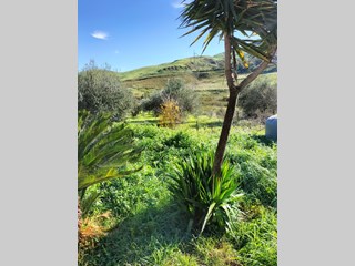 Casa Indipendente in Vendita a Agrigento, zona Montaperto, 75'000€, 100 m²