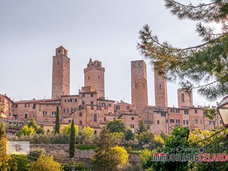 Attività commerciale in Vendita a San Gimignano, 9'000'000€, 1430 m²