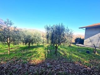 Terreno agricolo in Vendita a Ospedaletto d'Alpinolo, 15'000&euro;, 