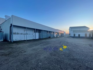 Capannone in Vendita a Luzzara, 3'200'000€, 5770 m²