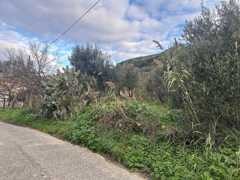 Terreno agricolo in Vendita a Squillace, 48'000&euro;, 170000 m²