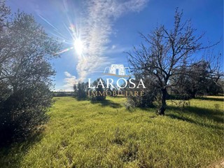 Terreno agricolo in Vendita a Melendugno, zona San Foca, 20'000€, 20 m²