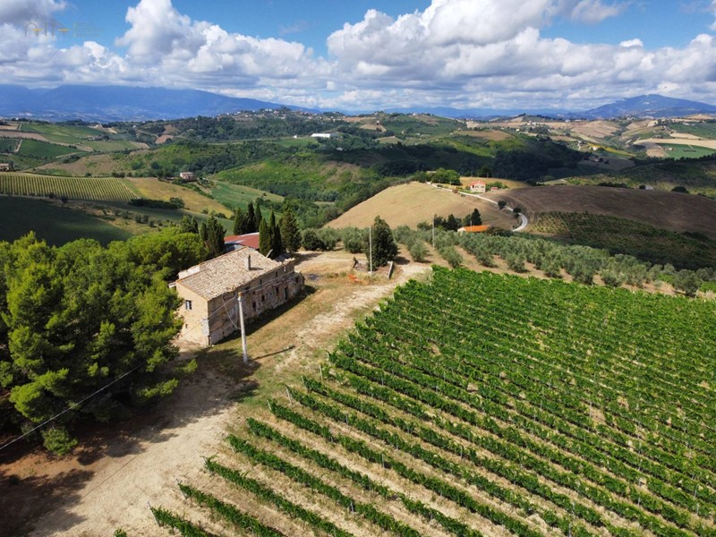 Attività commerciale in Vendita a Acquaviva Picena, zona Forola, 890'000€, 360 m²