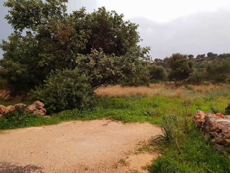 Terreno agricolo in Vendita a Siracusa, zona SPINAGALLO - CUGNI, 13'000€, 7500 m²
