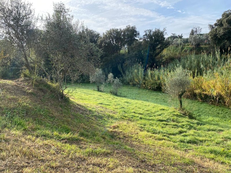 Terreno agricolo in Vendita a Livorno, zona Limoncino, 40'000&euro;, 3600 m²