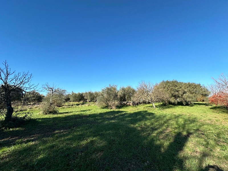 Terreno agricolo in Vendita a Castel Sant'Elia, 35'000€, 1030 m²
