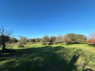 Terreno agricolo in Vendita a Castel Sant'Elia, 35'000€, 1030 m²