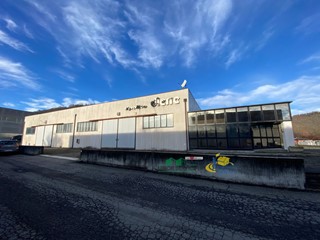 Capannone in Vendita a Medesano, 275'000&euro;, 1000 m²
