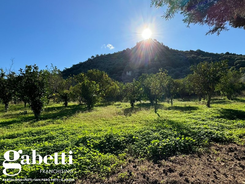 Terreno agricolo in Vendita a Patti, 140'000€, 4000 m²