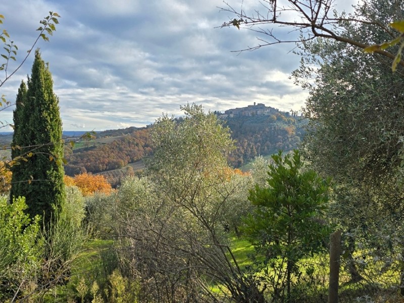 Casa Indipendente in Vendita a Orvieto, 770'000&euro;, 350 m²