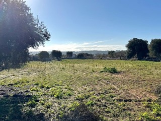 Terreno agricolo in Vendita a Polignano a Mare, 110'000€, 10390 m²