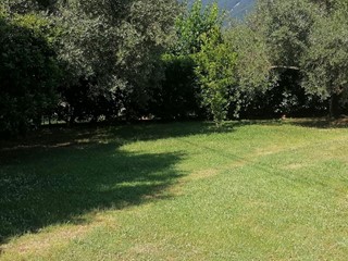 Casa Indipendente in Vendita a San Giuliano Terme, zona Colignola, 520'000€, 300 m²