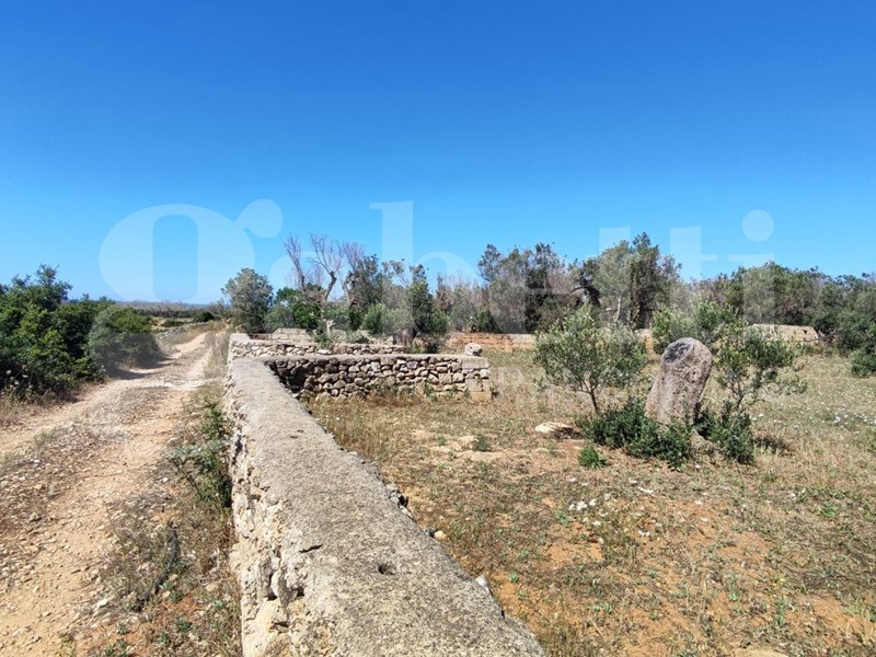 Terreno agricolo in Vendita a Ugento, 4'000€, 2238 m²