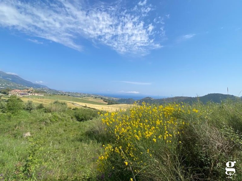 Terreno edificabile in Vendita a Patti, 5000 m²