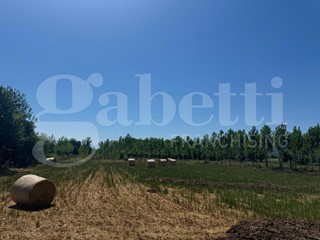 Terreno agricolo in Vendita a Baia e Latina, 240'000€, 49731 m²