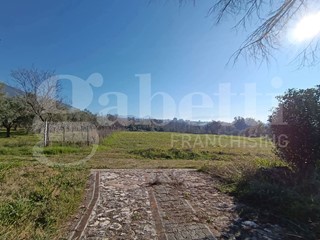 Terreno agricolo in Vendita a Sant'Angelo d'Alife, 35'000€, 11746 m²
