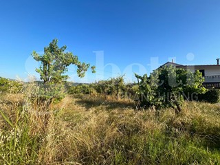 Terreno agricolo in Vendita a Alife, 25'000€, 3510 m²