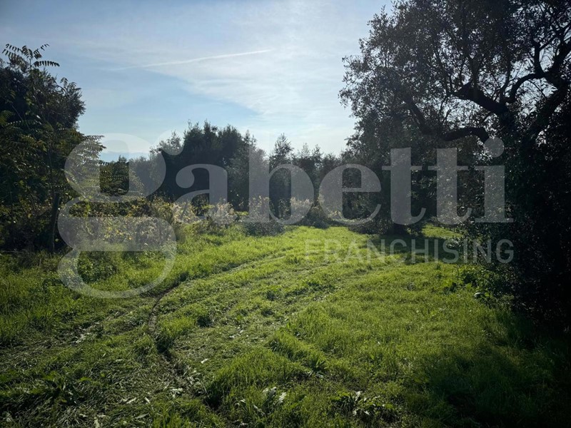 Terreno agricolo in Vendita a San Potito Sannitico, 370'000€, 50000 m²