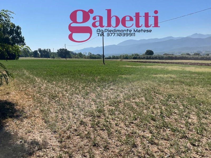 Terreno agricolo in Vendita a Raviscanina, 29'000€, 10000 m²