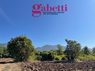 Terreno agricolo in Vendita a Raviscanina, 29'000€, 10000 m²