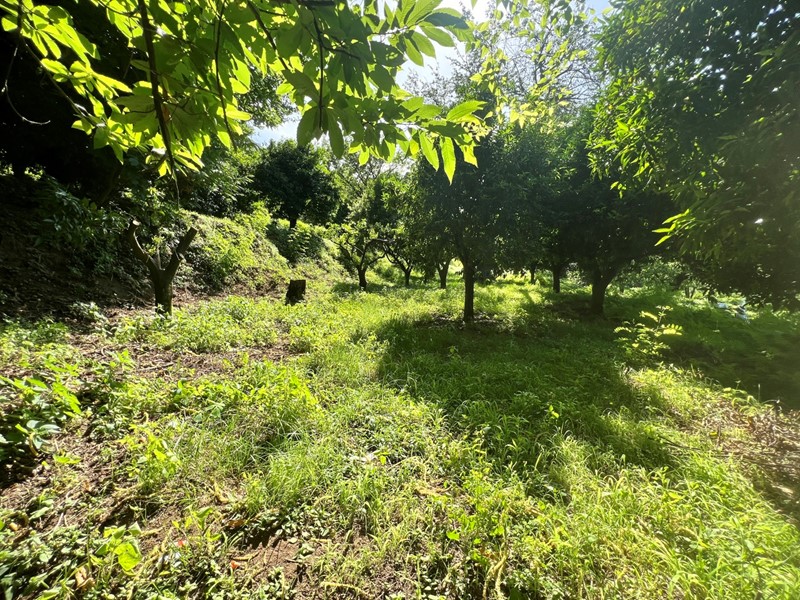 Terreno agricolo in Vendita a Nocera Superiore, 30'000€, 3800 m²