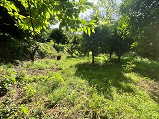 Terreno agricolo in Vendita a Nocera Superiore, 30'000€, 3800 m²