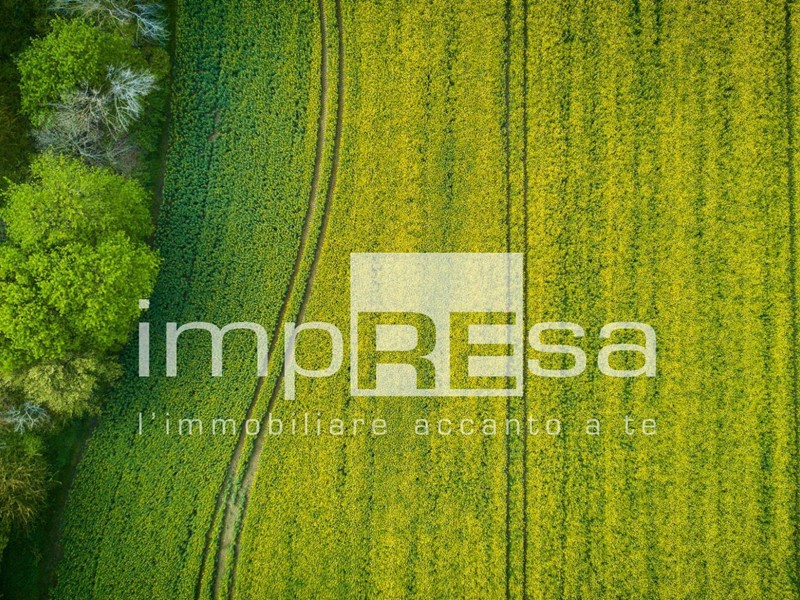Terreno agricolo in Vendita a Treviso, zona Canizzano, 50'000€, 6387 m²