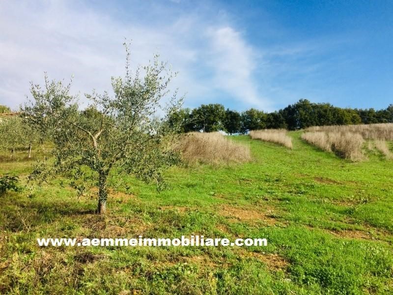 Terreno edificabile in Vendita a Casole d'Elsa, zona Cavallano, 140'000€, 1050 m²