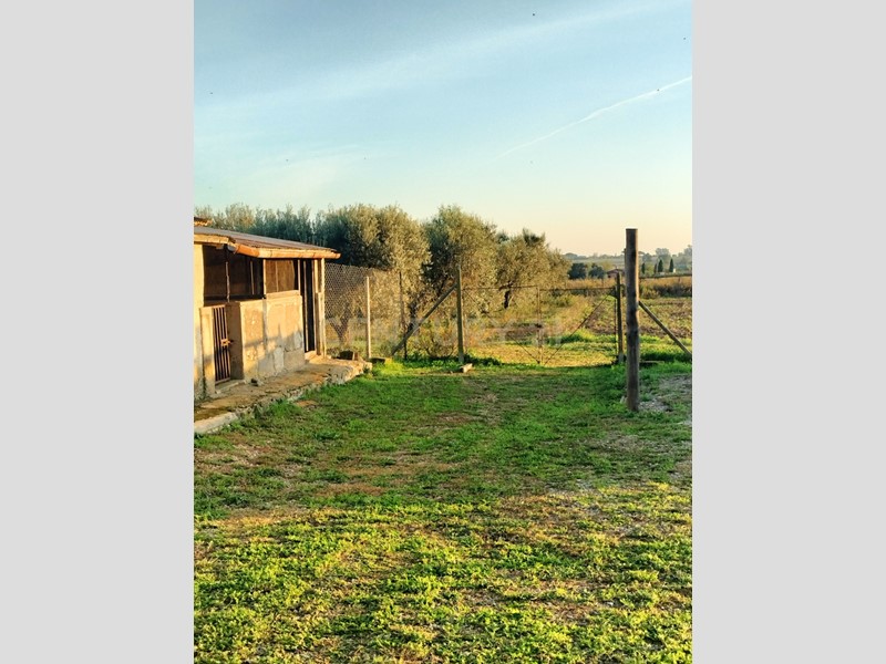 Casa Indipendente in Vendita a Capalbio, zona Capalbio, 950'000€, 150 m², con Box