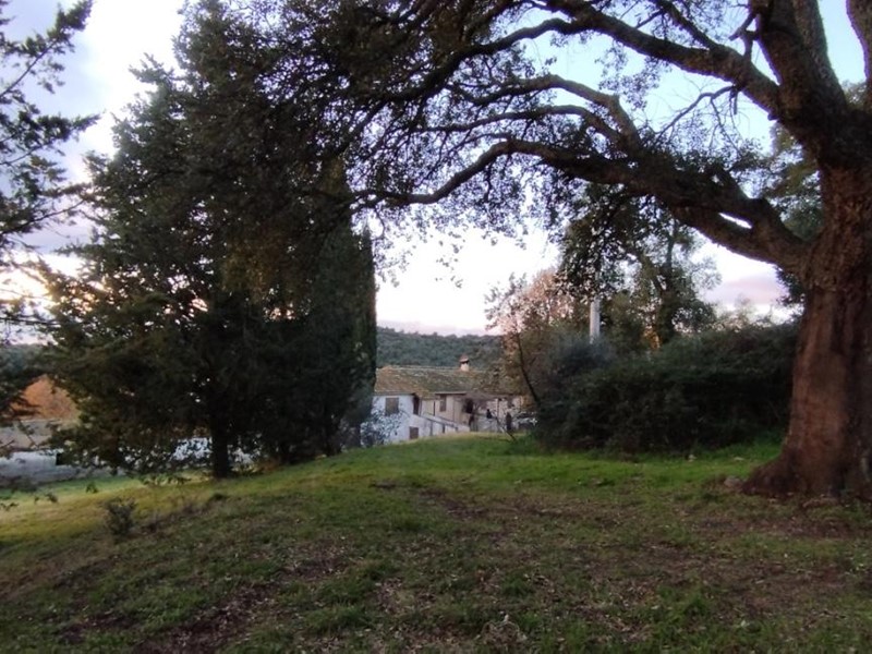 Terreno agricolo in Vendita a Roccastrada, 630'000€, 800000 m²