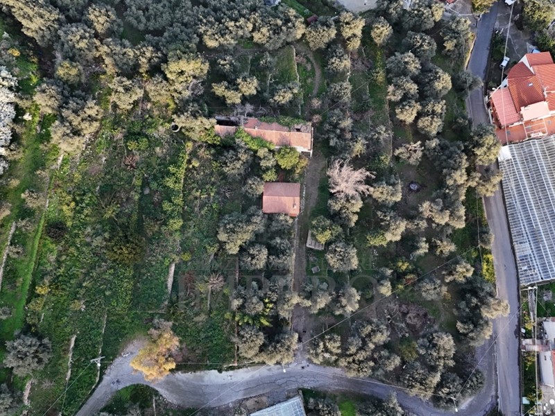 Terreno agricolo in Vendita a Bordighera, zona Borghetto San NicolÃ², 200'000€, 10266 m²