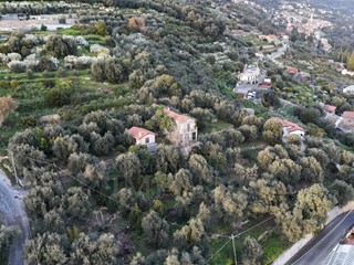 Terreno agricolo in Vendita a Bordighera, zona Borghetto San NicolÃ², 200'000€, 10266 m²