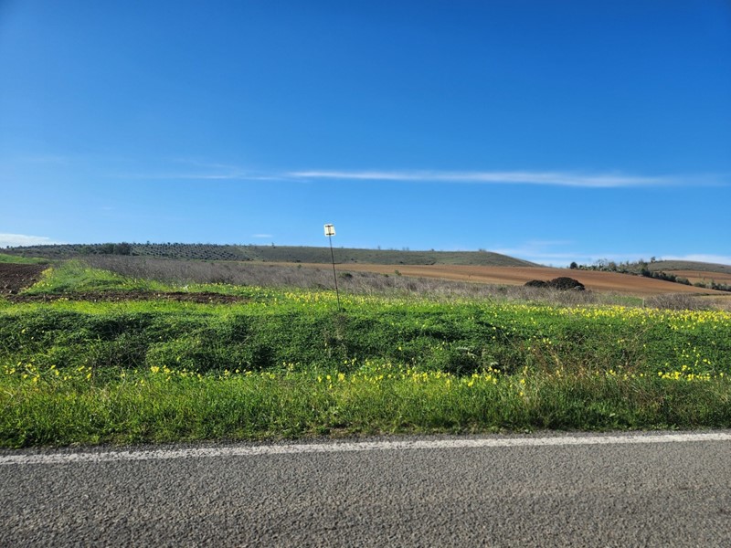 Terreno agricolo in Vendita a Ussana, 20'000€, 14200 m²