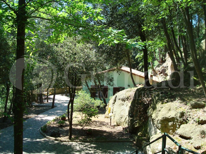 Attività commerciale in Vendita a Pitigliano, 1'500'000€, 28000 m²