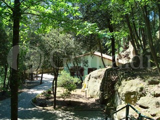 Attività commerciale in Vendita a Pitigliano, 1'500'000€, 28000 m²