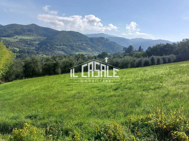 Terreno agricolo in Vendita a Dicomano, 70'000€, 29000 m²