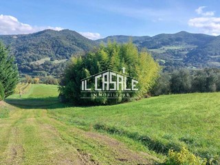 Terreno agricolo in Vendita a Dicomano, 70'000€, 29000 m²