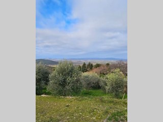 Terreno edificabile in Vendita a Casole d'Elsa, 30'000€, 8000 m²