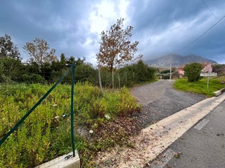 Terreno agricolo in Vendita a San Giovanni a Piro, 90'000&euro;, 7287 m²