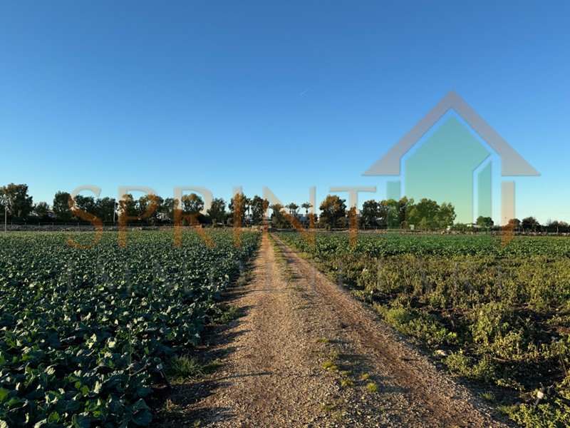 Terreno agricolo in Vendita a Monopoli, 60'000€, 