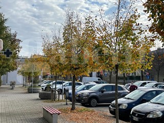 Negozio in Affitto a Mogliano Veneto, 600€, 40 m²