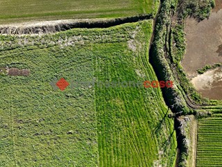 Terreno agricolo in Vendita a Capaccio Paestum, 129'000€, 18888 m²